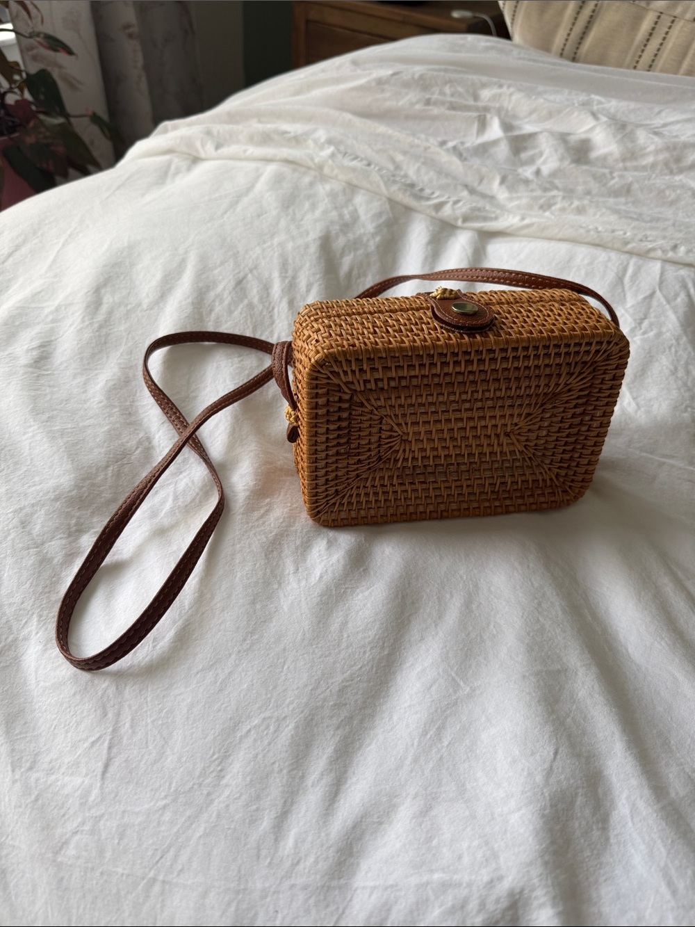 Woven Rattan Crossbody Bag in Brown
